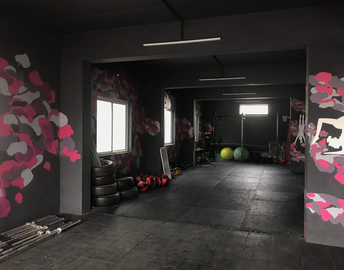 Rapid Sport Fitness (RSF)