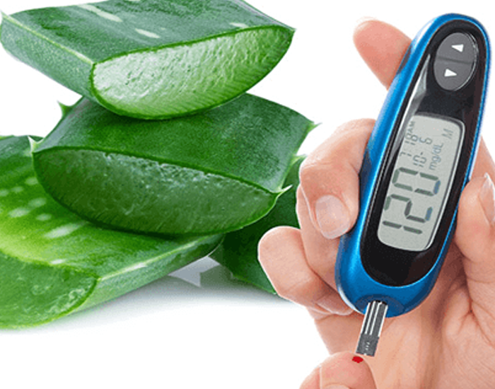 Benefits of Aloe Vera For Skin, Hair, Heart & Weight Loss FITPASS