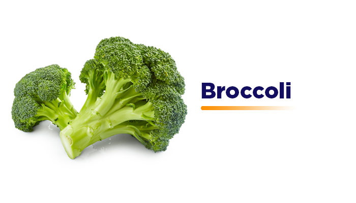 Broccoli - Gluten Free Diet Broccoli - Gluten Free Diet