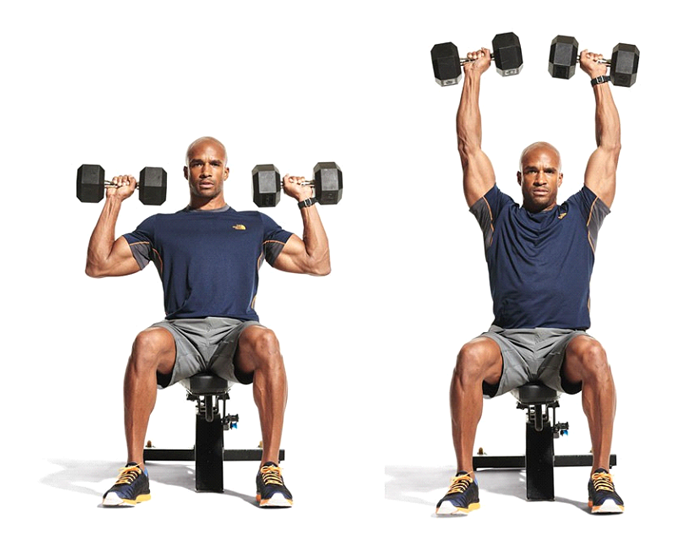 Seated Dumbbell Shoulder Press Seated Dumbbell Shoulder Press